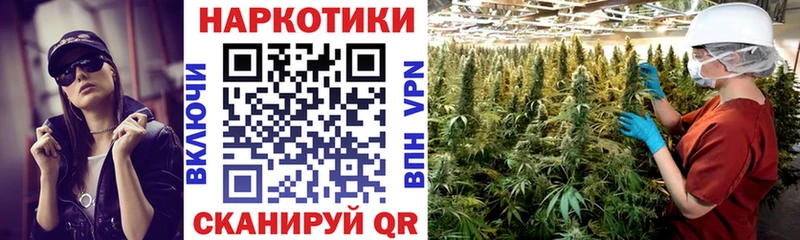 Купить наркотики цена Егорьевск АМФЕТАМИН  omg ТОР  Канабис  A PVP  ГАШИШ 
